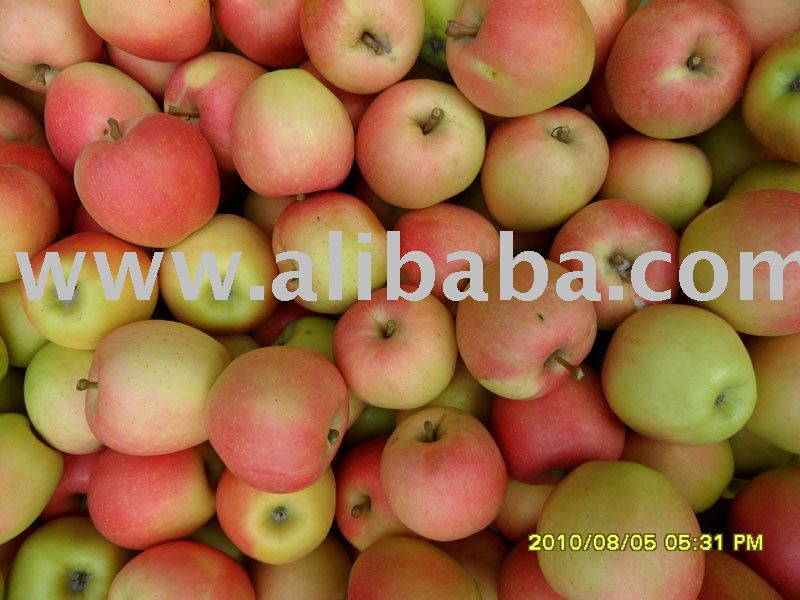 no bagged gala apple
