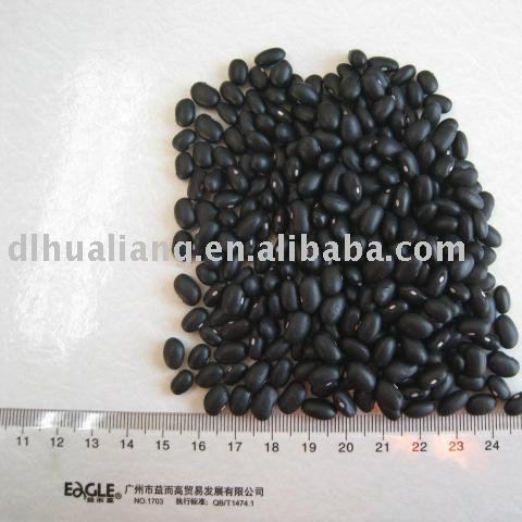 Black  Small   Kidney   Beans 