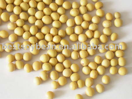 Grade 1 non-gmo soybean