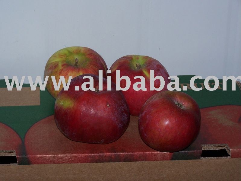 Cortland apple