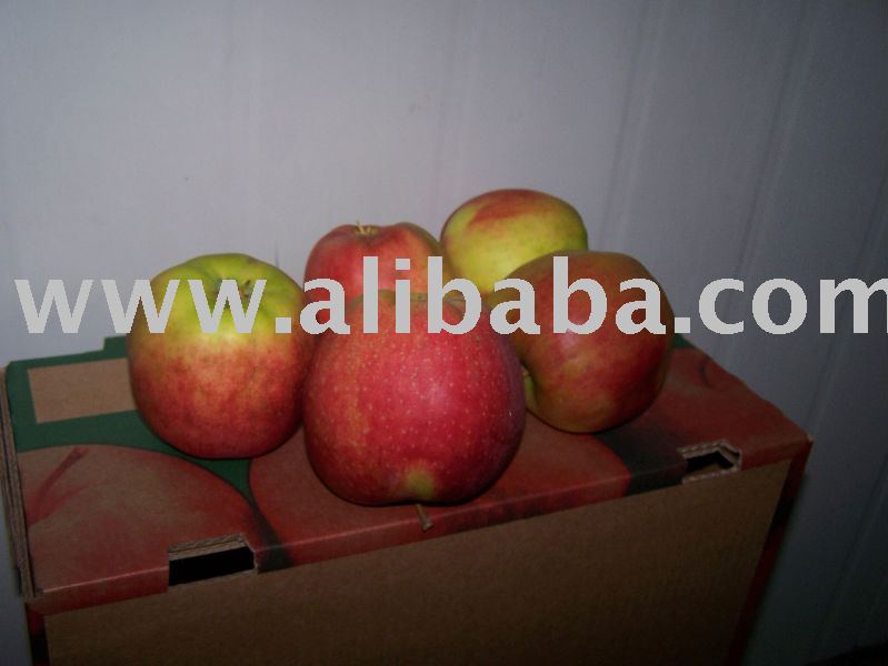 apples Ligo  apple