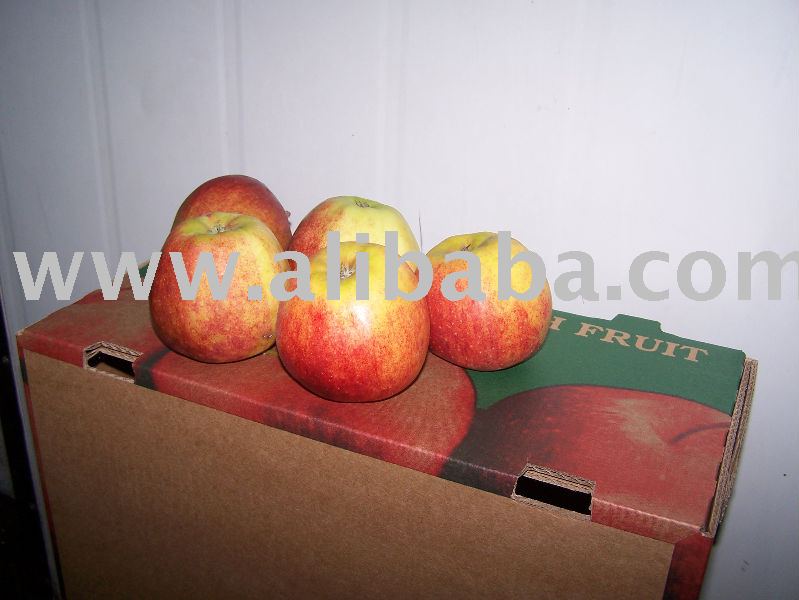 jonagored apple