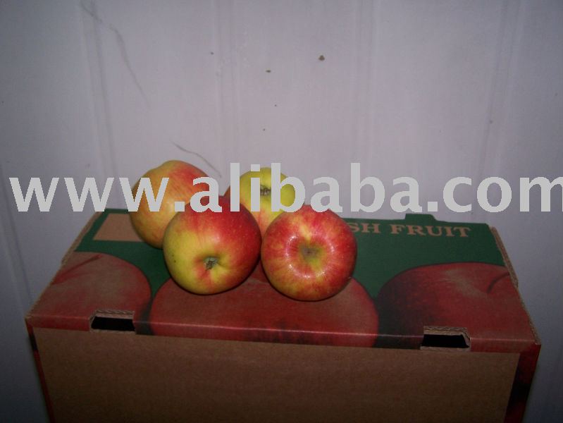 Champion apple