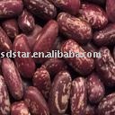 Sell Bean(Legume, Pulses, Peas)