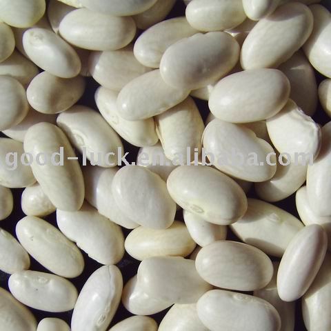 2010 High Quality Baishake White Kidney beans