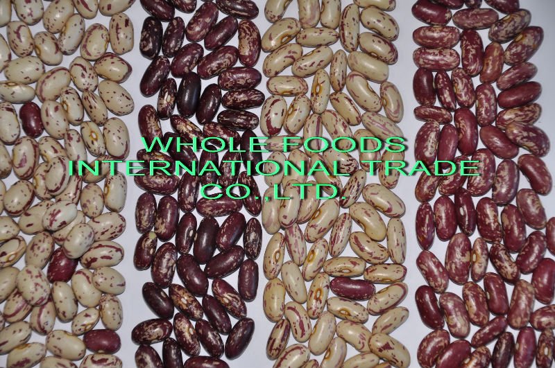 All kinds of Kidney beans