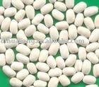  Middle   white   kidney   bean 