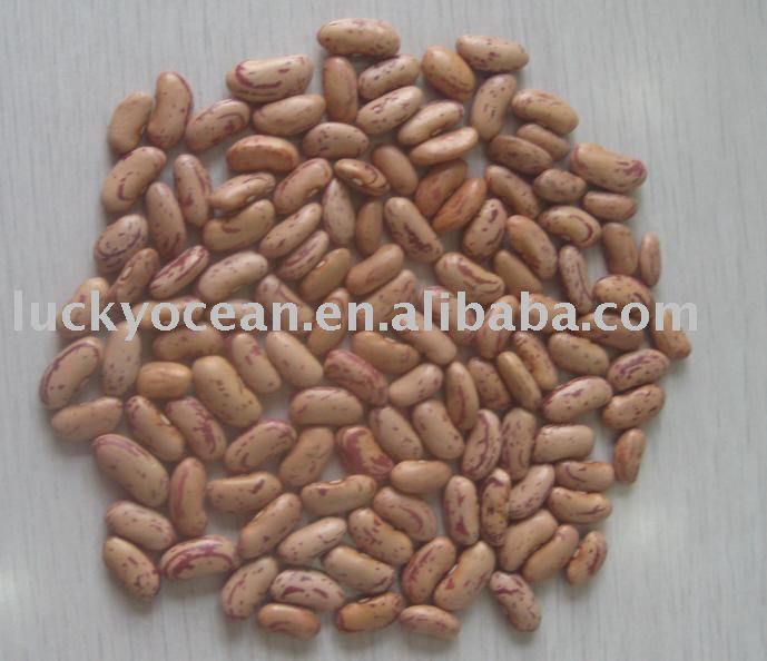 light speckled kidney bean
