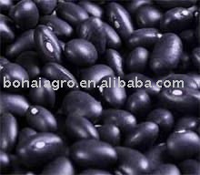 Black kidney bean