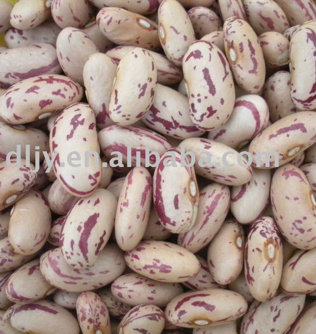 Light Speckled Kidney Bean(Long Shape)
