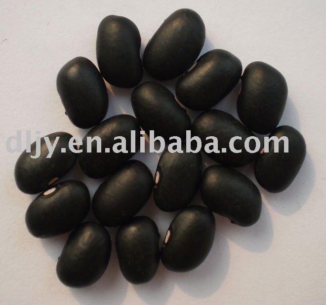 Black Kidney Beans