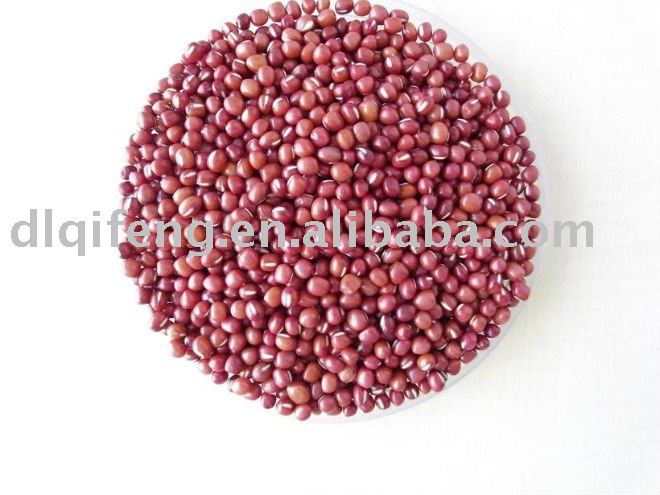bean