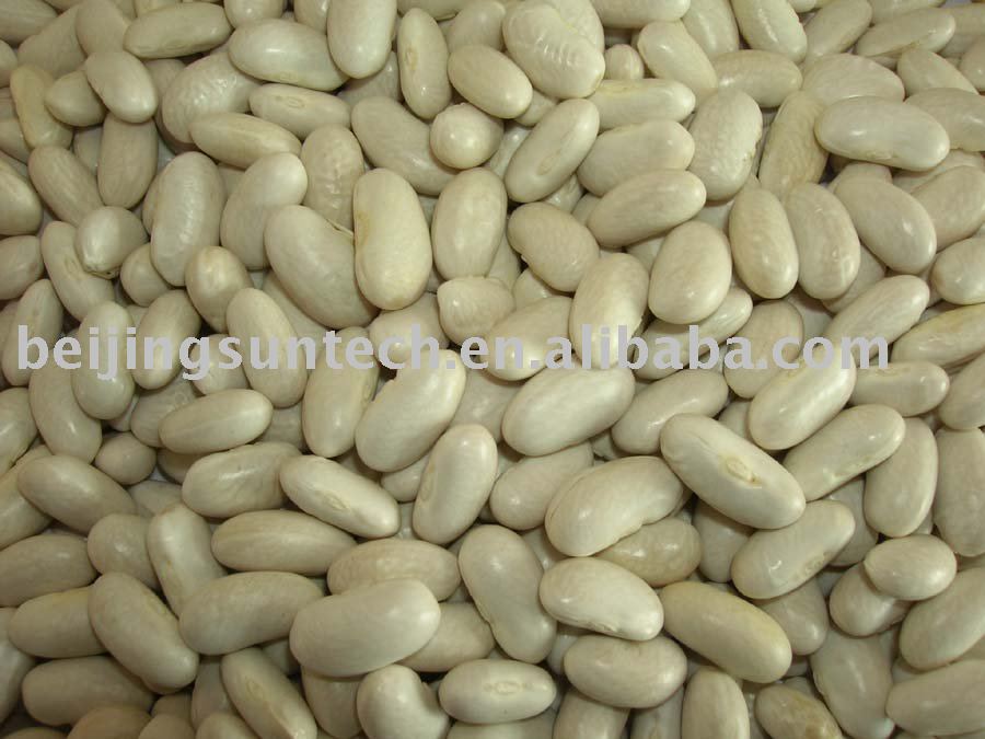 white kidney beans BAISHAKE type 2010 new crop