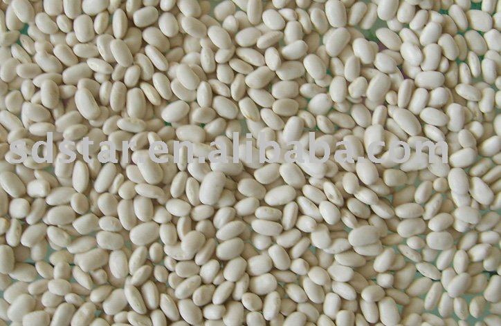 middle white kidney bean(square type)