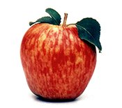 Starking Apples