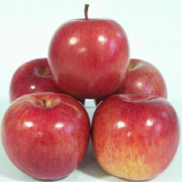 Red Honey Apple