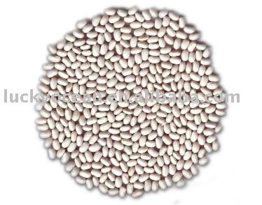 White kidney beans (Japanese type)