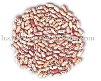 Light speckled kidney beans