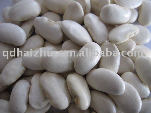 White Lima Bean