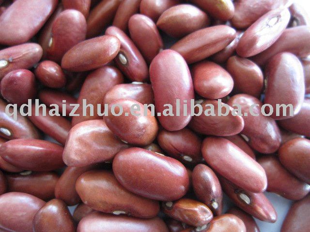  Light   Red   Beans 