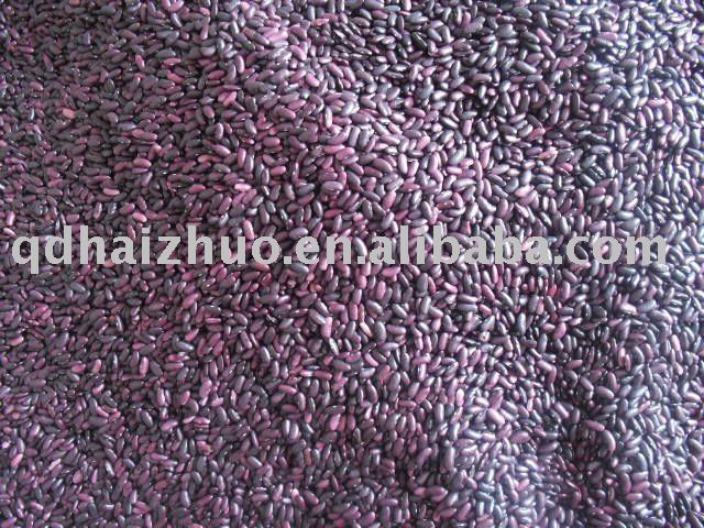  Dried   Red   Bean s