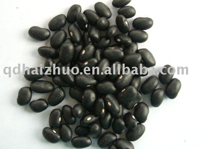 Small  Balck  Kidney  Beans 