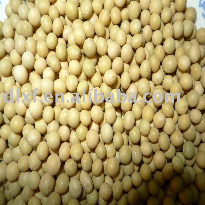 ALL TYPES  soya  bean     Non - Gmo /organic 2010