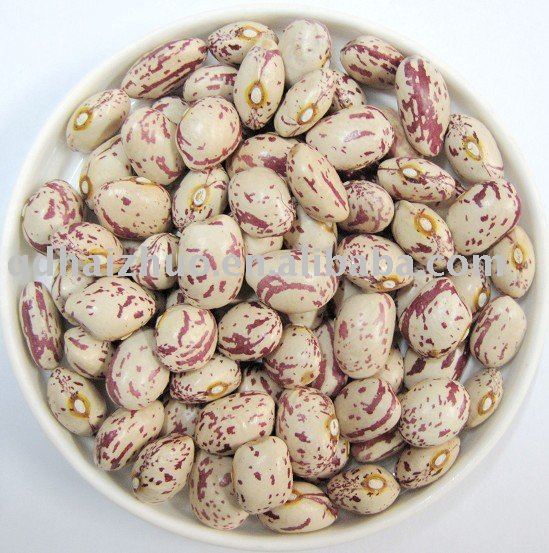  Round    Beans 
