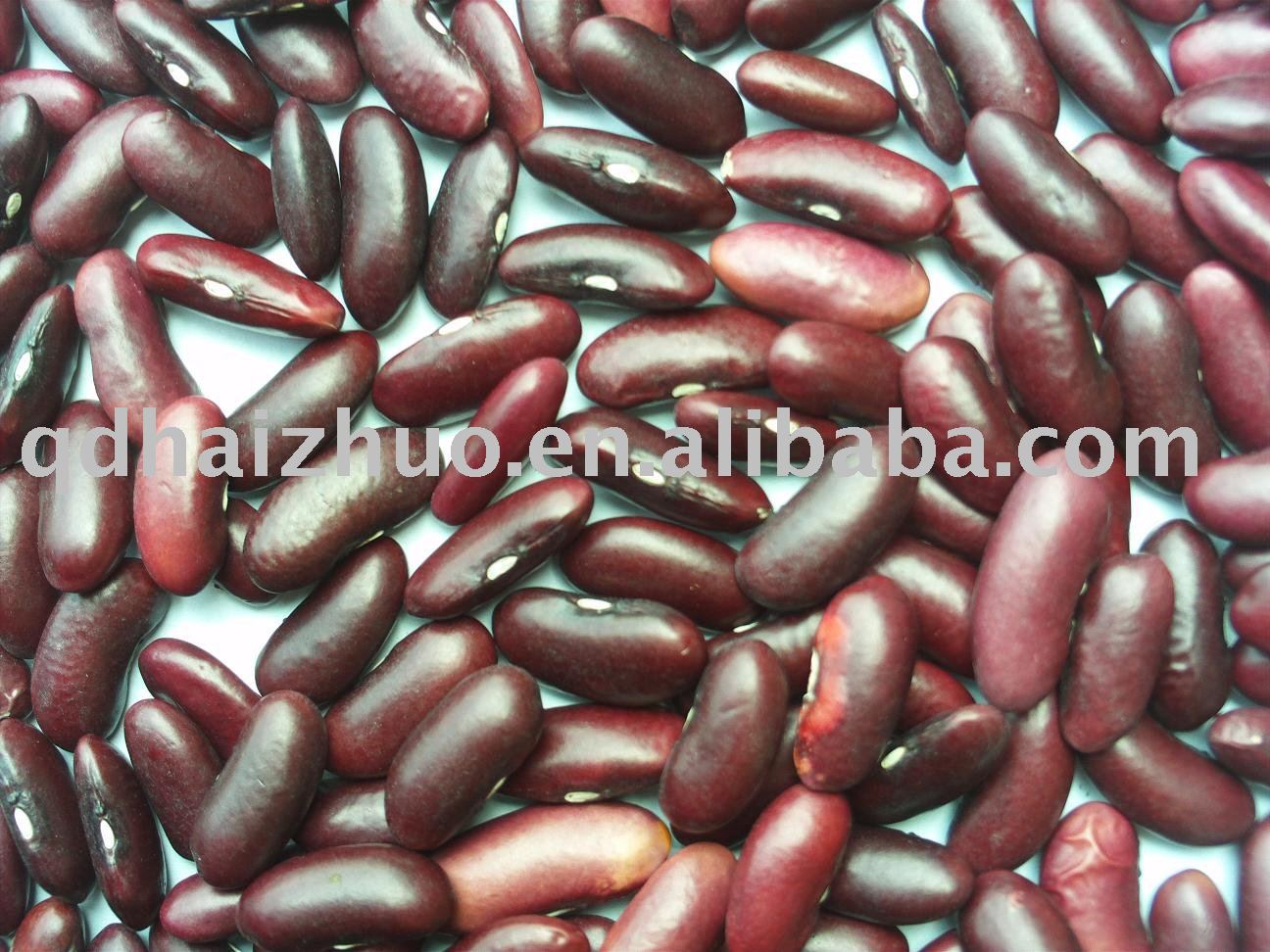 Red  Beans