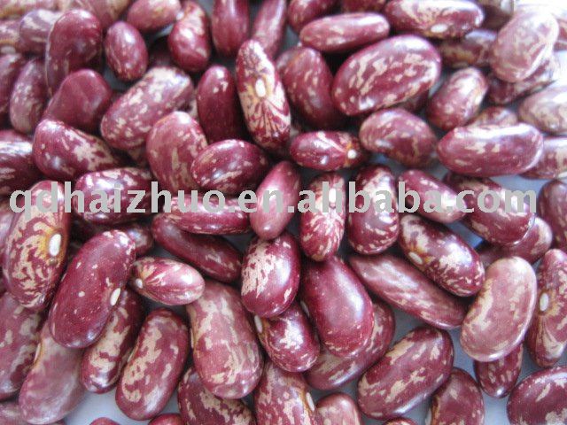 Red Speckled Kidney Beans