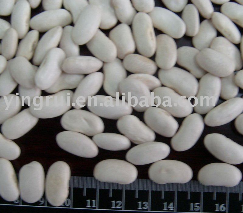 white peas,China YR price supplier - 21food