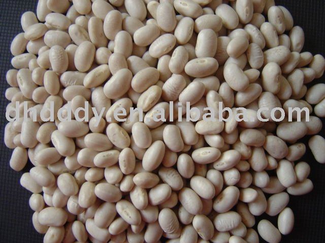 Japanese type white kidney bean