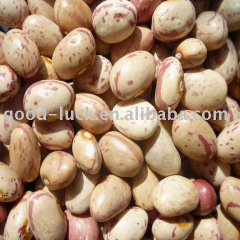 HPS Huanan Round Light Speckled Kidney Beans