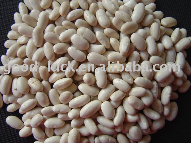 new crop hps  baishake   white   kidney   bean s