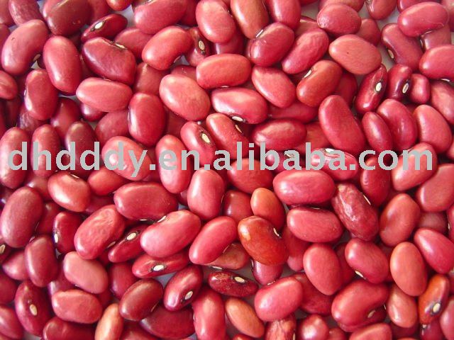 Chinese small red kidney bean