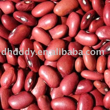  red  kidney bean