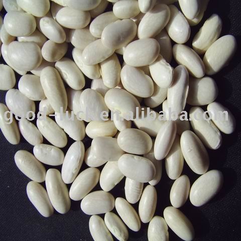 2010 Crop HPS Baishake White Kidney Beans