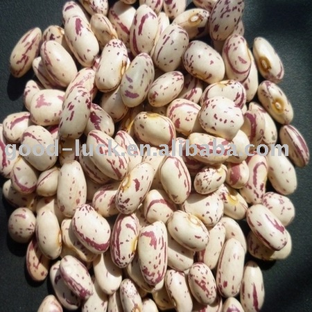 New Crop HPS American Round Light Speckled Kidney Beans