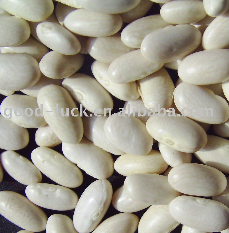 2010  crop all kinds of  white  kidney beans