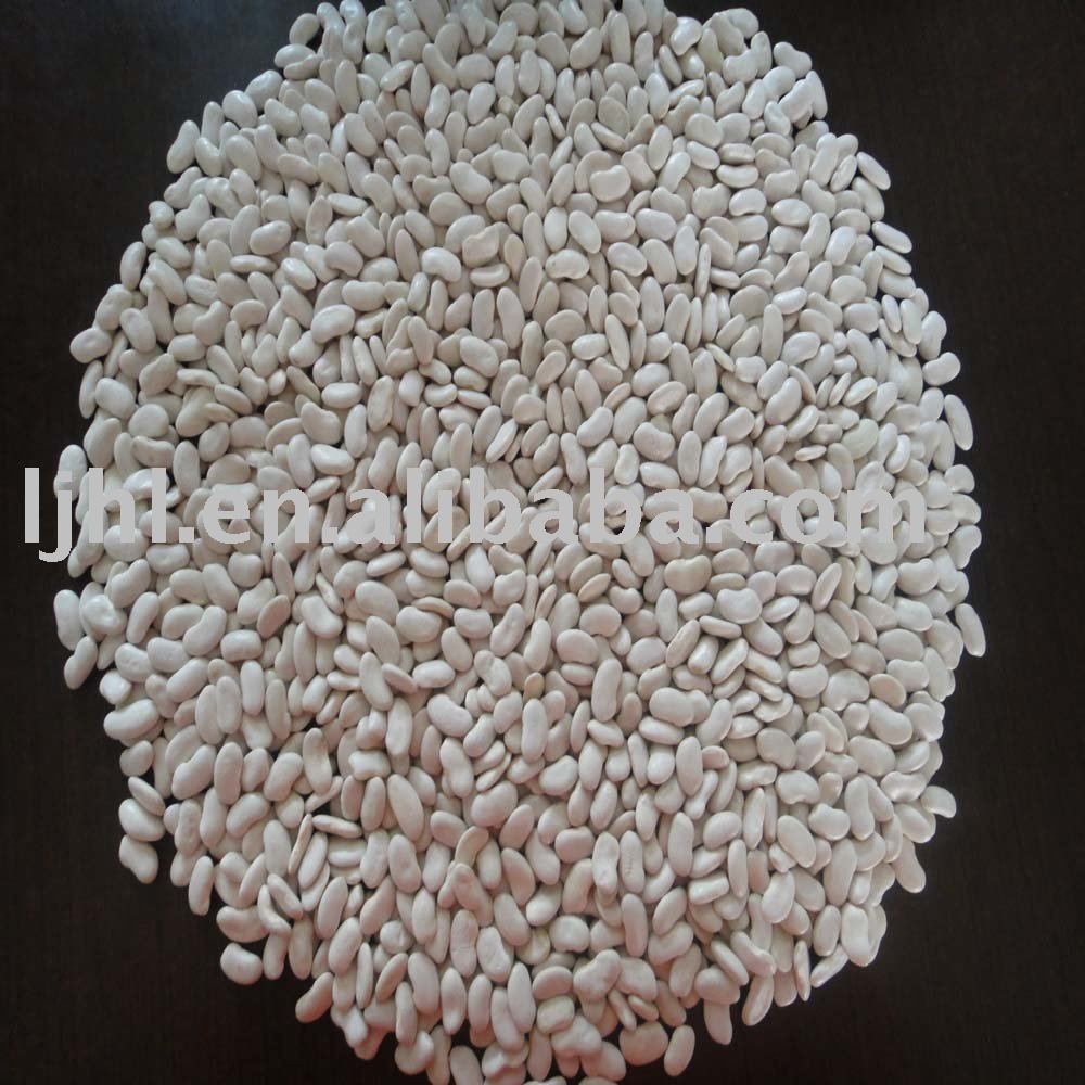2010 crop flat white kidney beans