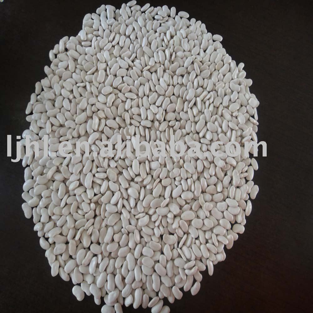 200 grains white kidney beans, flat shape