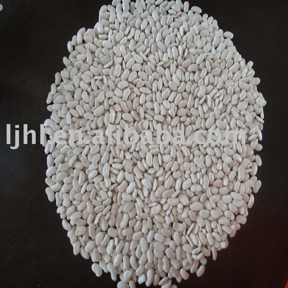 185 grains white kidney beans, flat shape