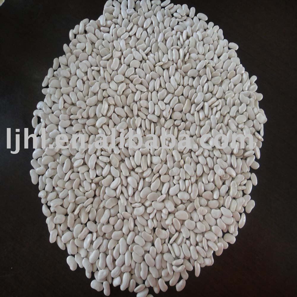 180 grains white kidney beans, flat shape , 2010 crop