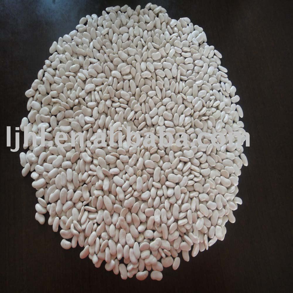 165 grains flat white kidney beans