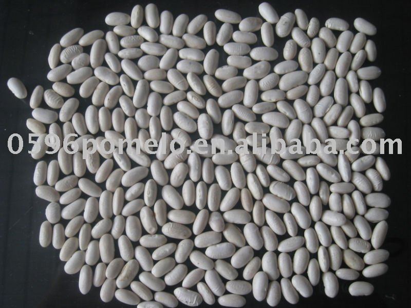  Baishake   white   kidney   bean s 2010 crop