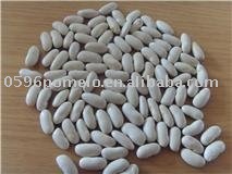 new crop white kidney beans