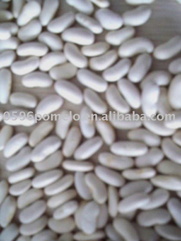 white kidney beans long type