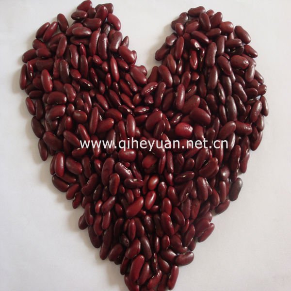 red kidney bean british type