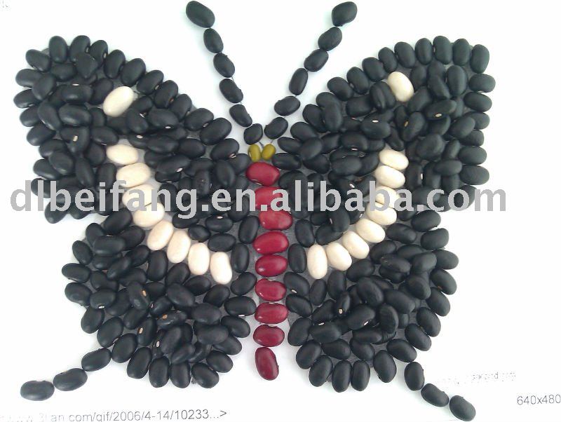 Black Kidney Bean/black turtle bean/black bean( 2010 crop, hps, grade 1. heilongjiang origin)
