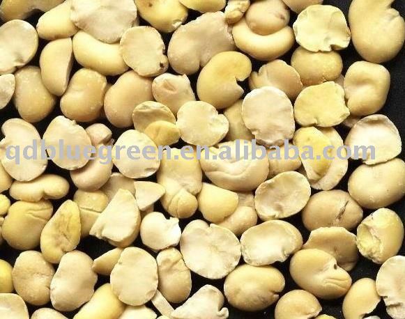 Machine Peeled Split Broad Beans kernels